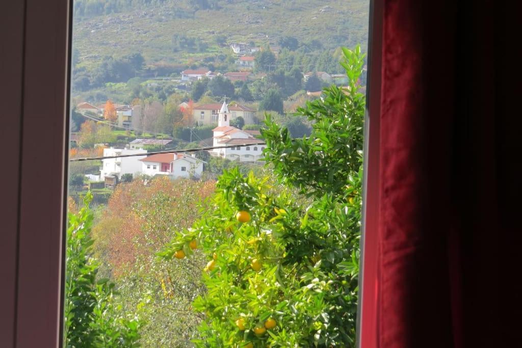 Sweet Home Braga - 4 Rooms Apartment Exterior foto