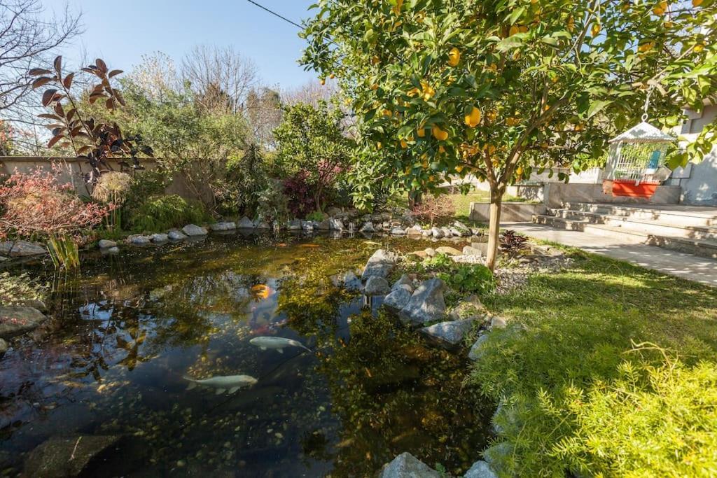 Sweet Home Braga - 4 Rooms Apartment Exterior foto